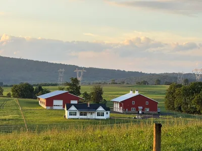 Two red barns and a white farmhouse in rolling green fields at golden hour, with wooded hills and power-line towers behind.